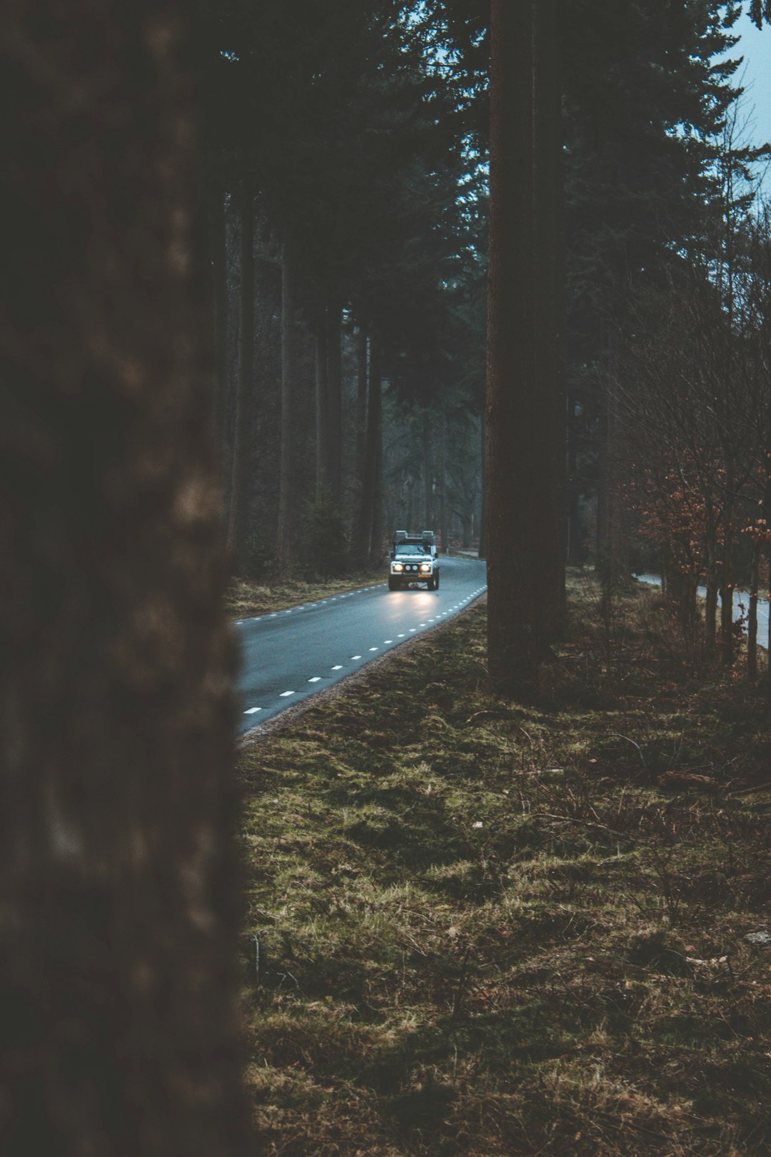 Auto verzekering in Nederland